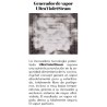 Horno mychef concept S4GN1/1