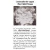 Horno mychef concept S4GN1/1