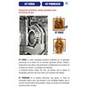 Horno gas 7 GN 1/1 INOXTREND C