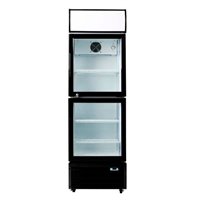 Armario expositor 2 Puerta C300