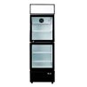 Armario expositor 2 Puerta C300