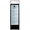 Armario expositor 1 Puerta C440