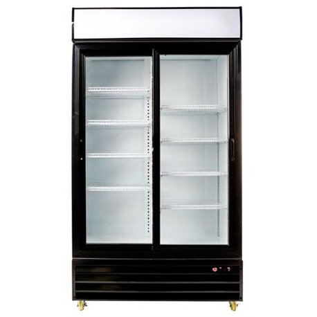 Armario expositor 2 Puerta C1100