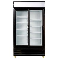 Armario expositor 2 Puerta C1100