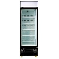 Armario expositor congelador C430