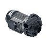 Bomba alba CM11314