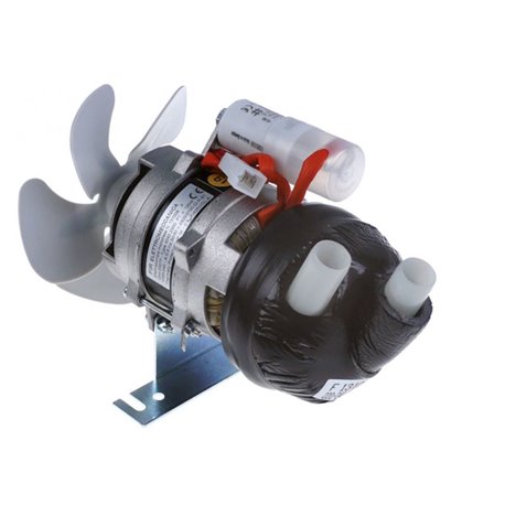 Bomba Fir 42402300