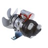Bomba Fir 42402300