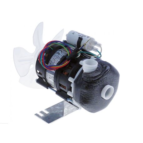 Bomba olympia T19