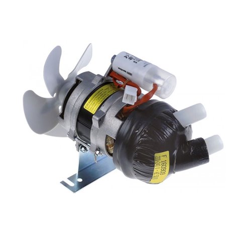 Bomba Fir 42402301