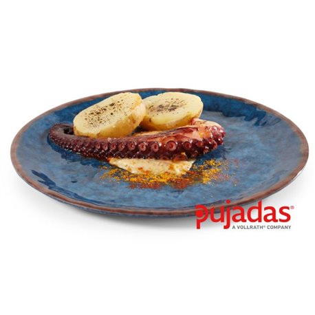 Plato plano melamina water