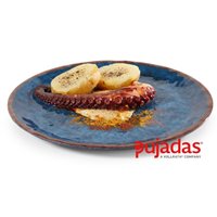 Plato plano melamina water