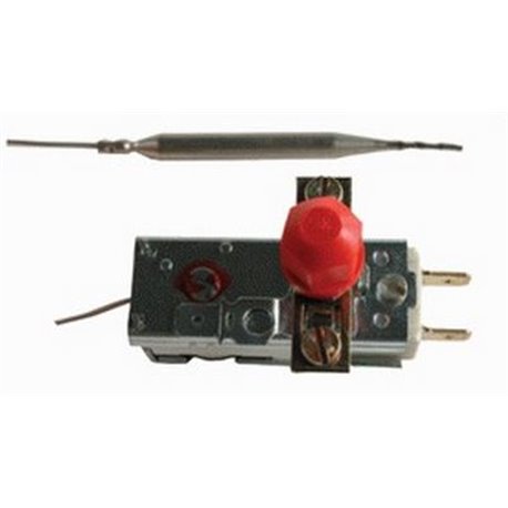 Termostato seguridad Repagas 1