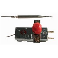 Termostato seguridad Repagas 1