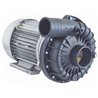 Bomba lavavajillas ZF800DX