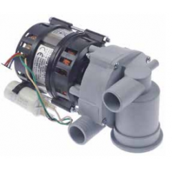 Bomba olympia L63.T19 2