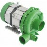 Bomba olympia T12