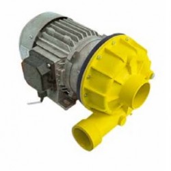 Bomba alba C9806