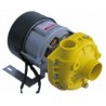 Bomba alba C4683