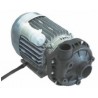 Bomba alba C441