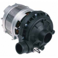 Bomba alba C2031