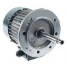 Motor ventilador horno Angelo-Po 7