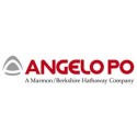 Repuestos para hornos Angelo Po